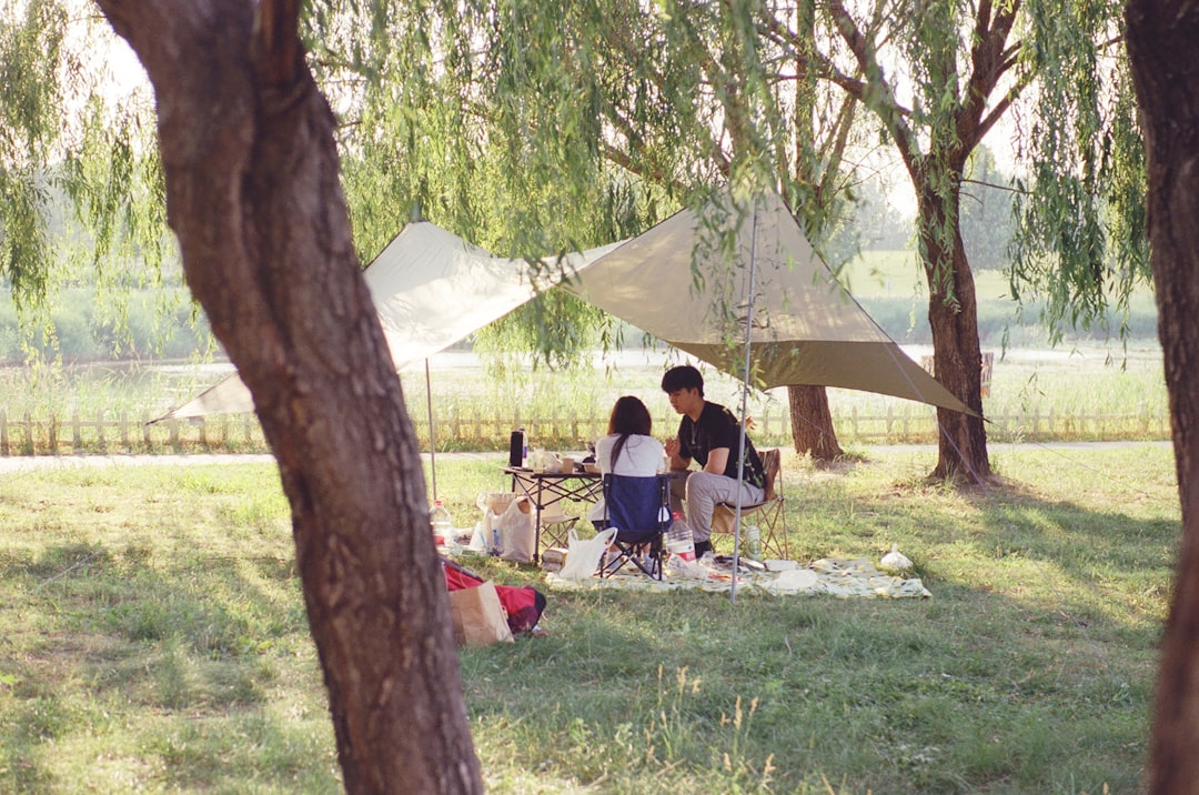 Couple enjoying a picnic under a canopy